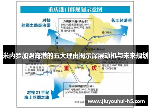 米内罗加盟海港的五大理由揭示深层动机与未来规划